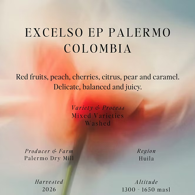 Excelso EP Palermo - Colombia (Filter)