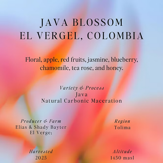 Java Blossom – El Vergel – Colombia (Omni)