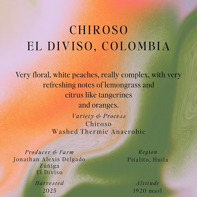 Chiroso – El Diviso – Colombia (Omni)