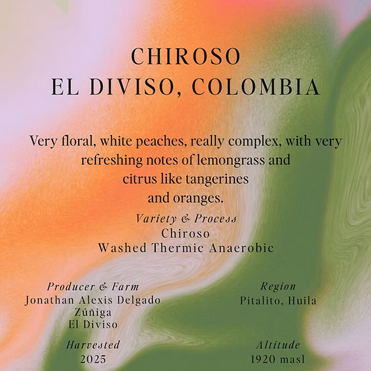 Chiroso – El Diviso – Colombia (Omni)