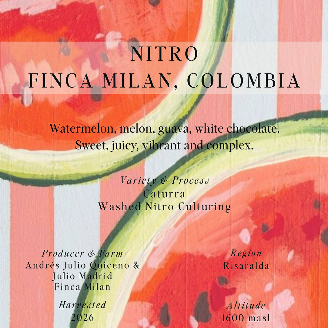 Nitro, Finca Milan - Colombia (Omni)