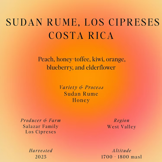 Sudan Rume – Los Cipreses – Costa Rica (Omni)