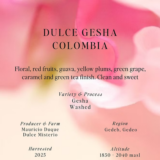 Dulce Gesha – Washed – Colombia (Espresso)