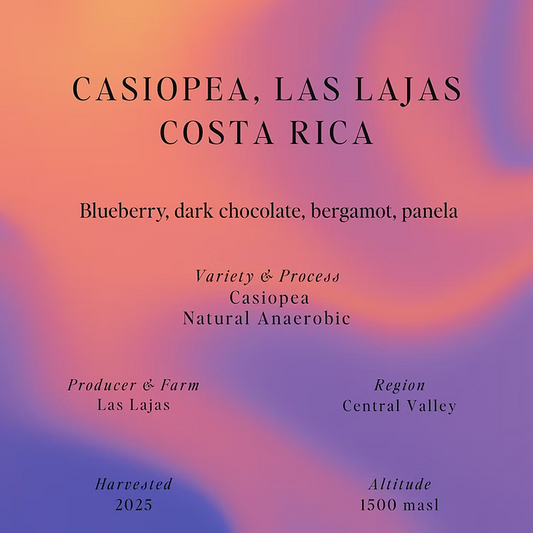 Casiopea – Las Lajas – Costa Rica (Omni)