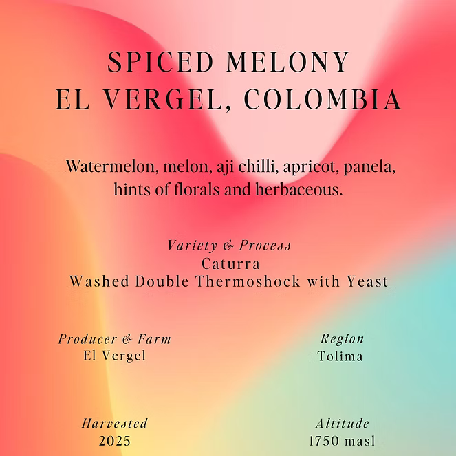 Spiced Melony - El Vergel - Colombia (Espresso)