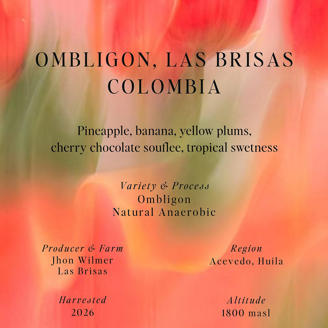Ombligon, Las Brisas - Colombia (Omni)
