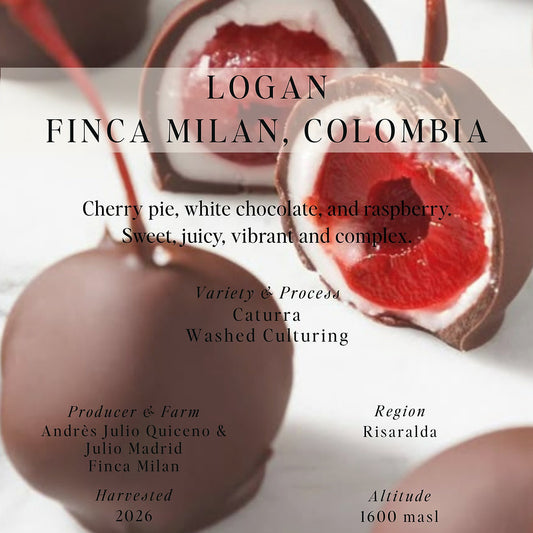 Logan, Finca Milan - Colombia (Omni)