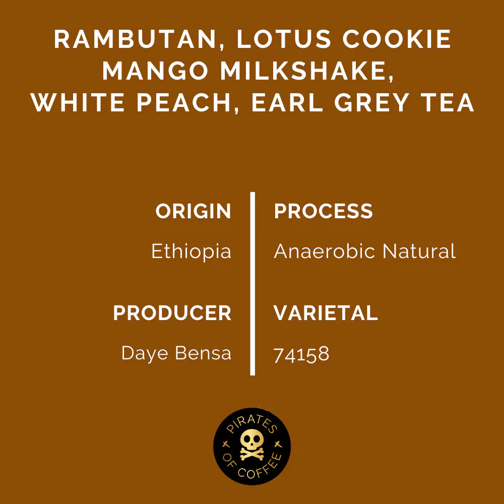Hamasho Anaerobic - Ethiopia (Espresso)