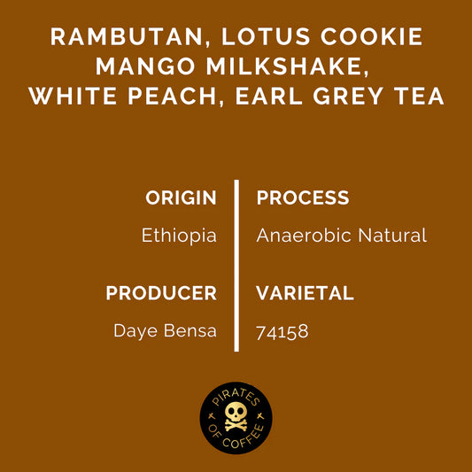 Hamasho Anaerobic - Ethiopia (Espresso)