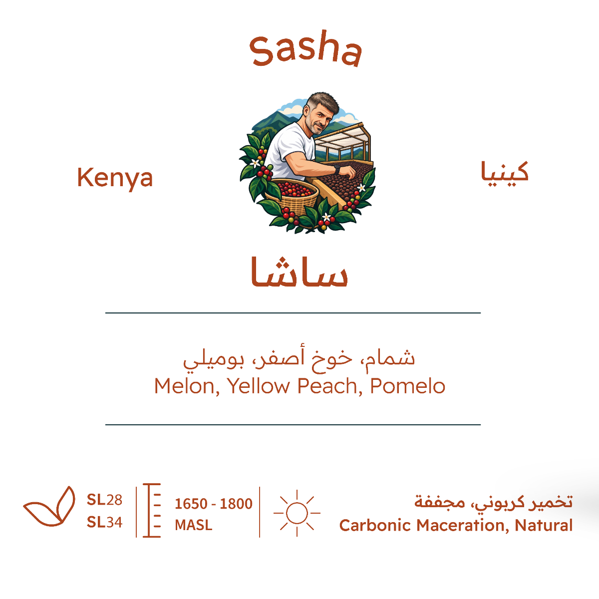 ساشا - كينيا