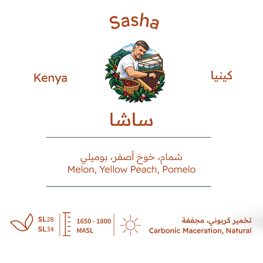 ساشا - كينيا