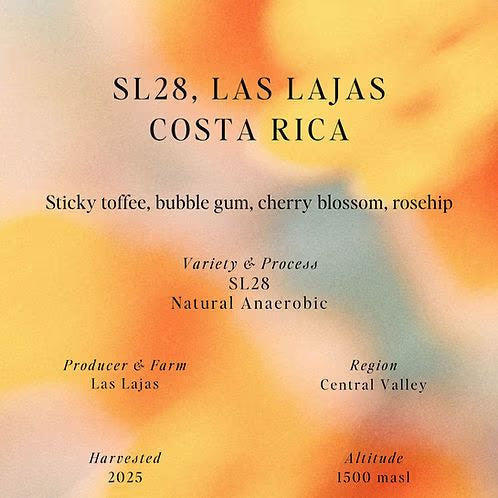 SL28 – Las Lajas – Costa Rica (Omni)